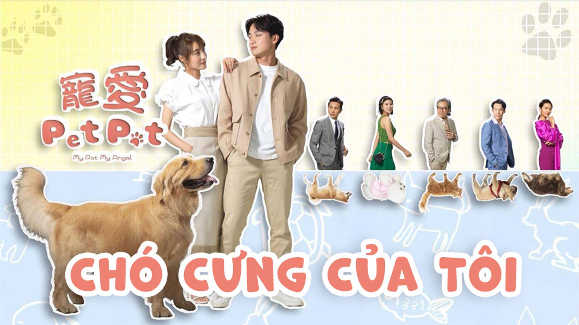 Chó Cưng Của Tôi