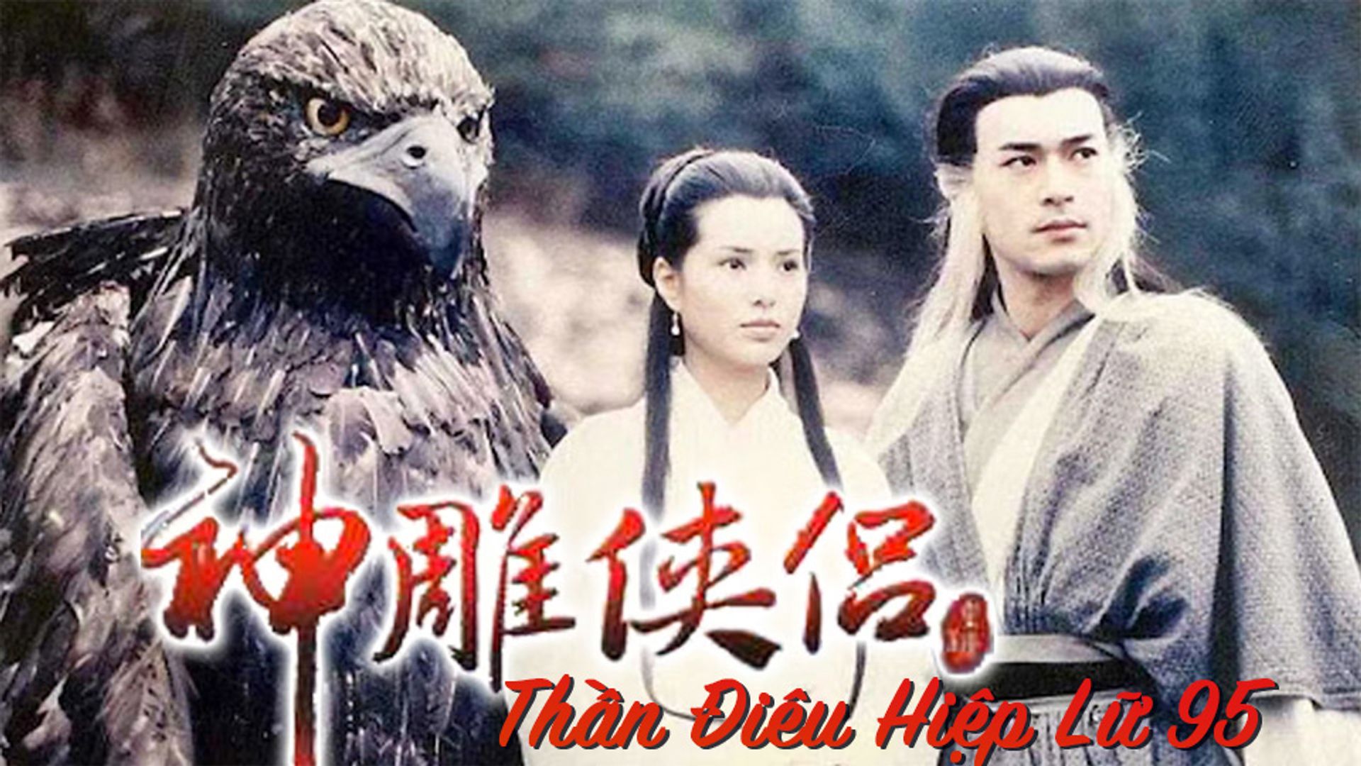 Thần Điêu Hiệp Lữ 95