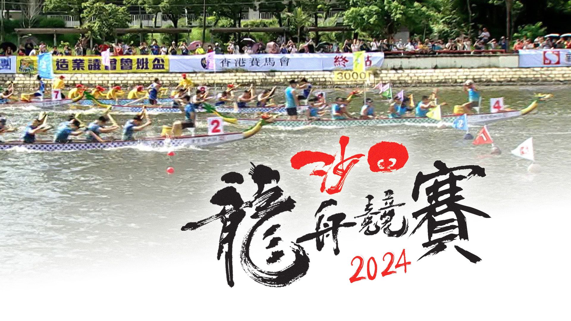 沙田龍舟競賽 2024-Shatin Dragon Boat Races 2024