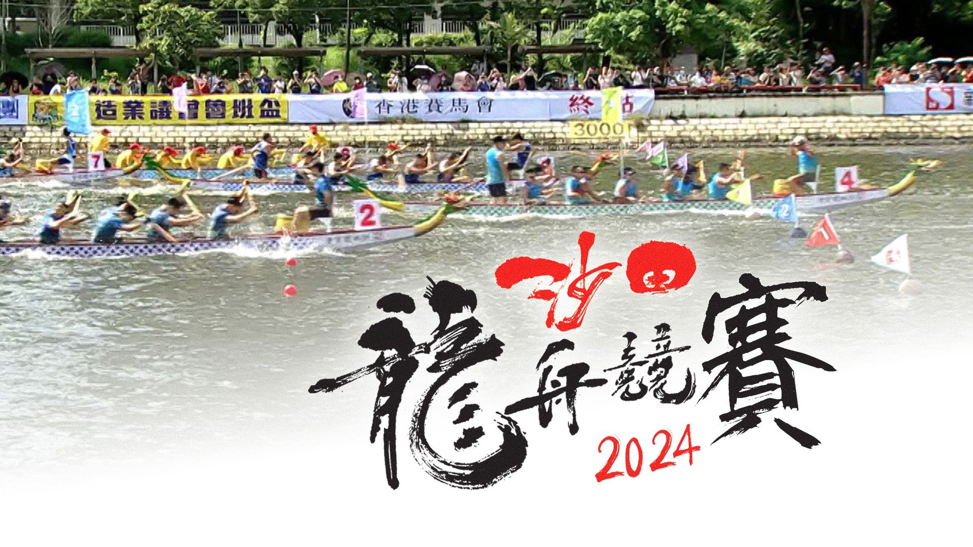 Sa Điền Long Chu Cạnh Tái 2024