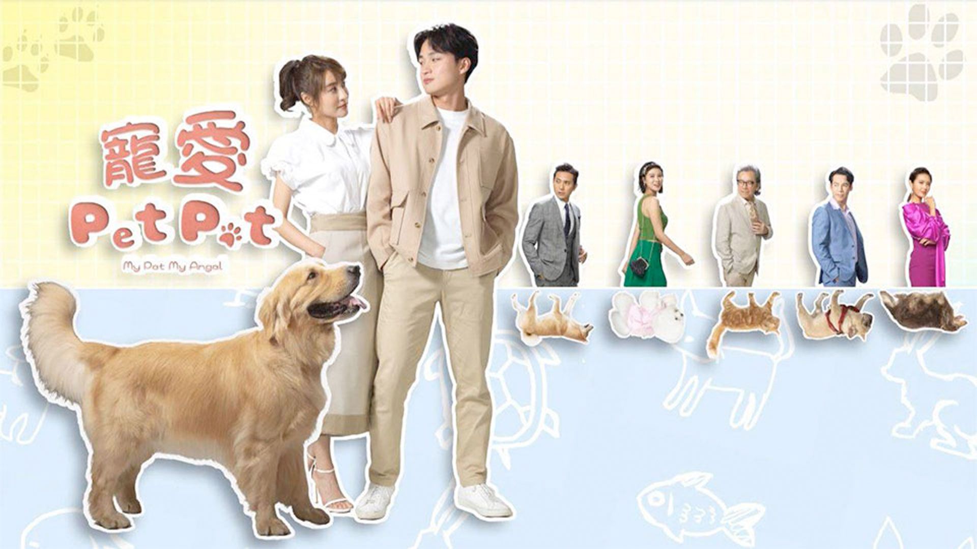 寵愛Pet Pet-My Pet My Angel