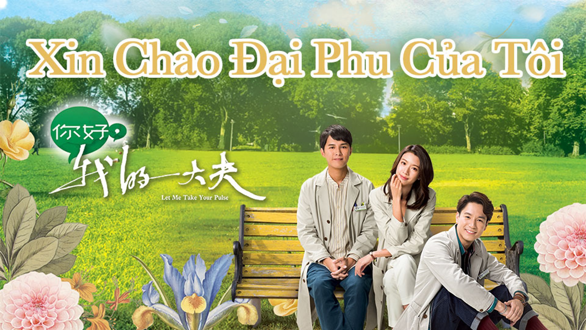 Xin Chào Đại Phu Của Tôi