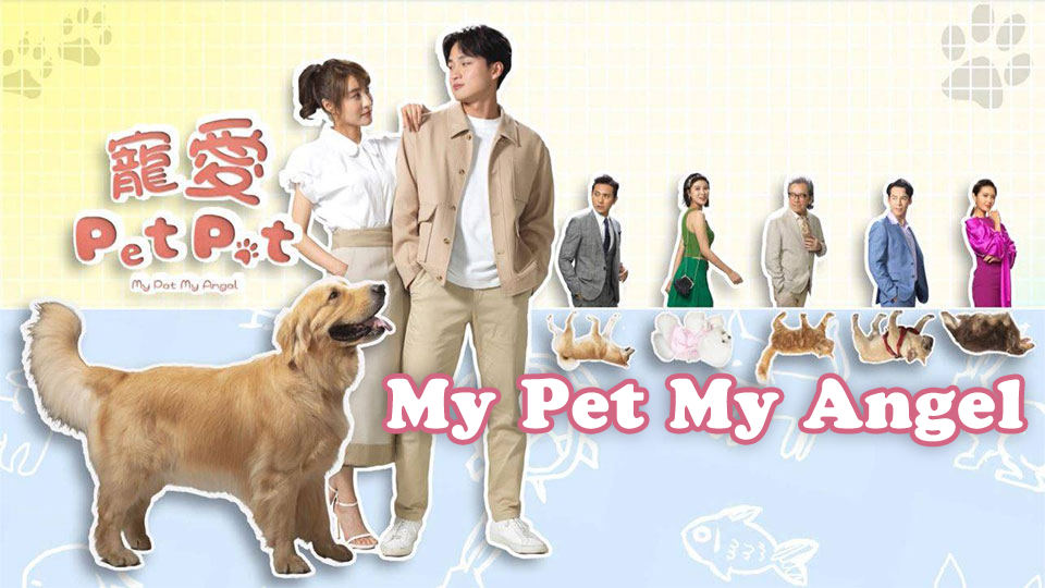 Chó Cưng Của Tôi
