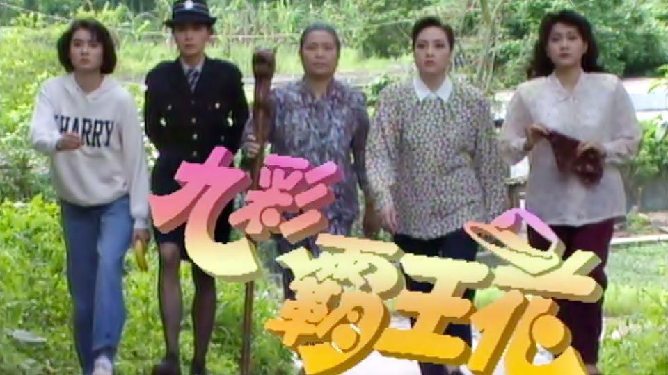 九彩霸王花-Yang's Women Warriors