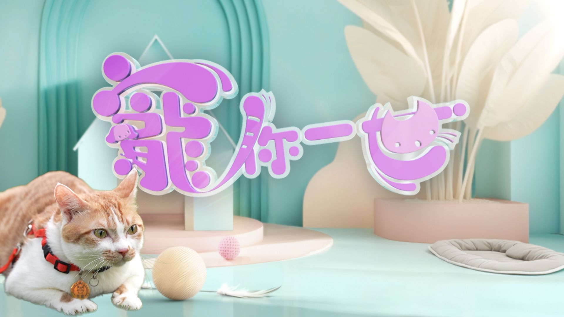 寵你一世