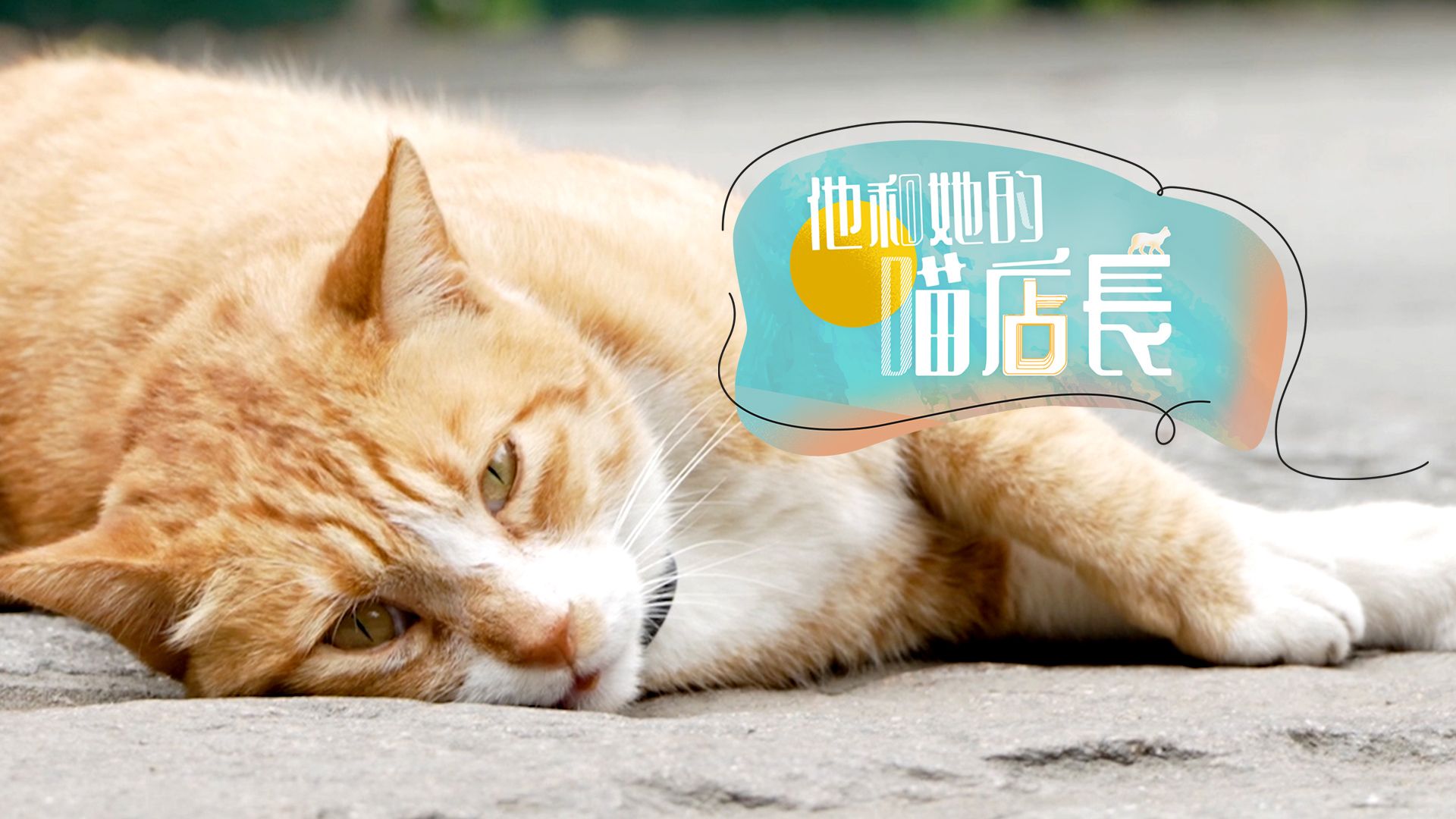 他和她的喵店長-Cat, Me, If You Can Depict The Old Hong Kong