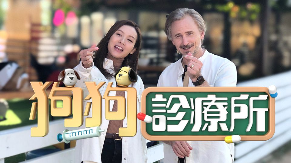 狗狗診療所-Doggie Training Camp