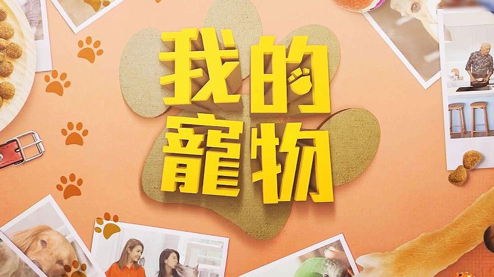 我的寵物-Fluffies Arena