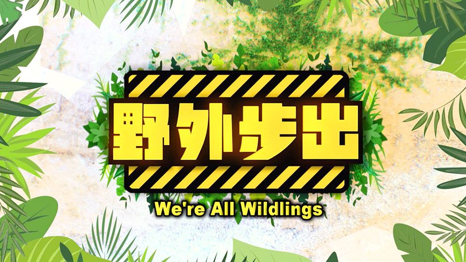 野外步出-We're All Wildlings