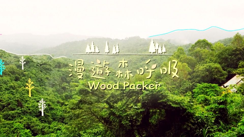 漫遊森呼吸-Wood Packer