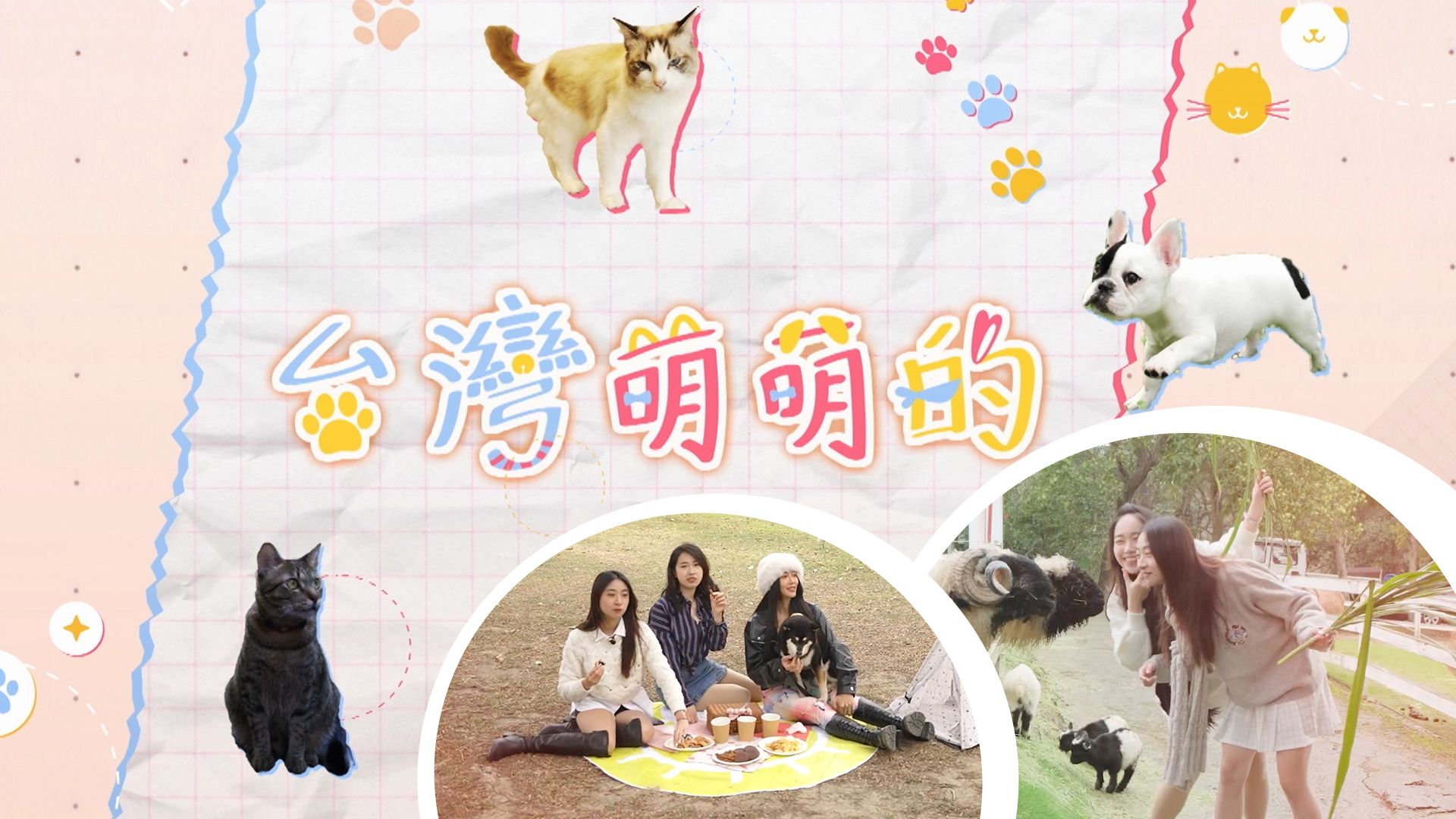 台灣萌萌的-Cute Taiwan