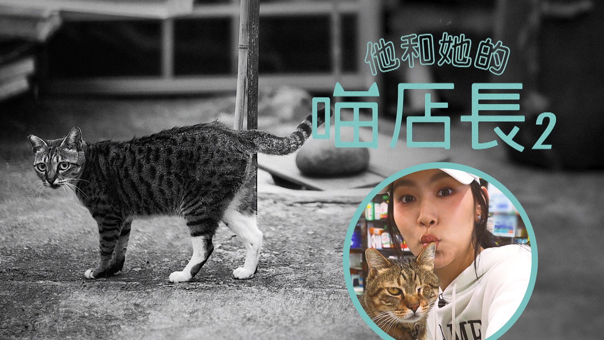 他和她的喵店長2-Cat, Me, If You Can Depict The Old Hong Kong 2