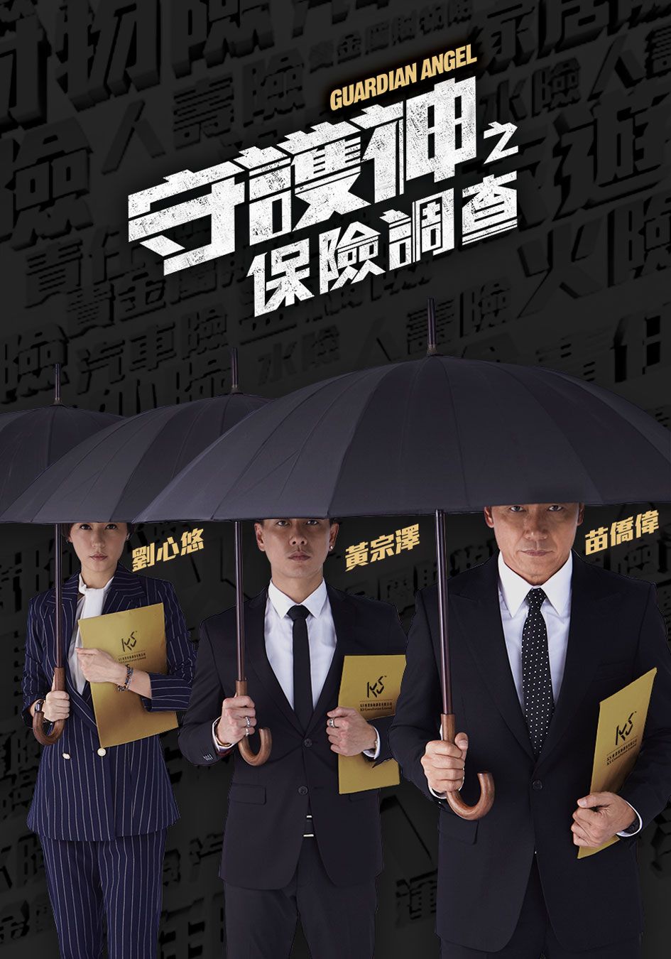 守護神之保險調查-Guardian Angel