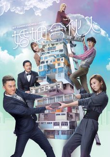 婚姻合伙人