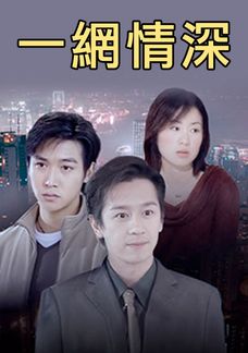 一網情深