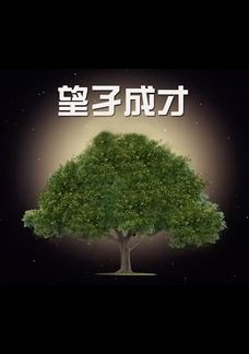 望子成才