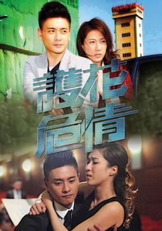 護花危情