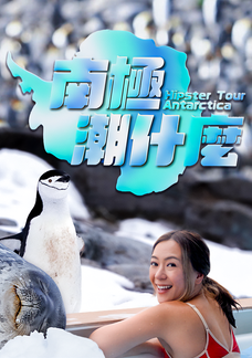 南極潮什麼