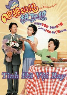 Tình Đã Vội Bay