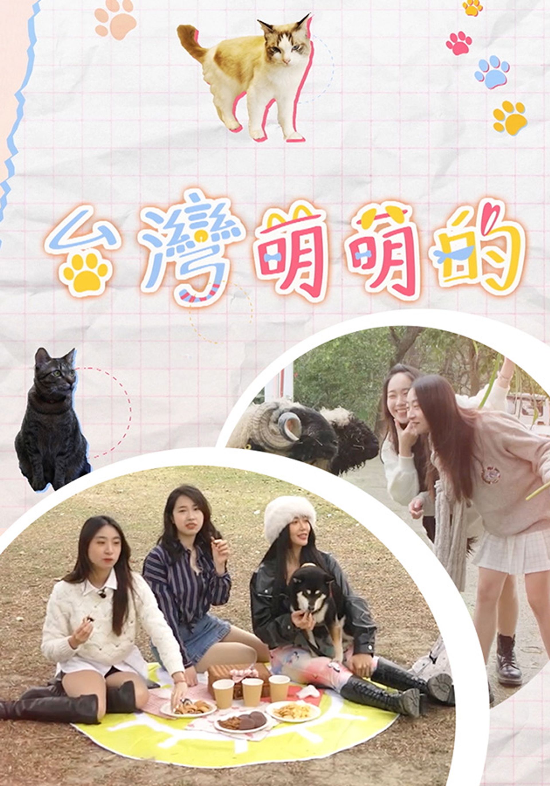 台灣萌萌的
