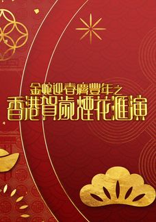 金蛇迎春慶豐年之香港賀歲煙花匯演