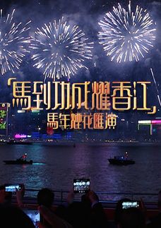 「馬到功成耀香江」馬年煙花匯演