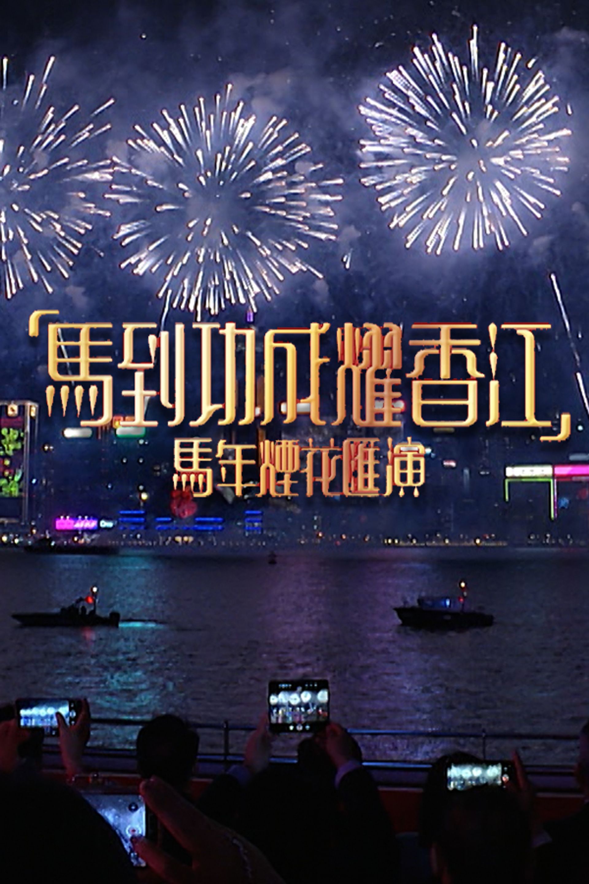 「馬到功成耀香江」馬年煙花匯演