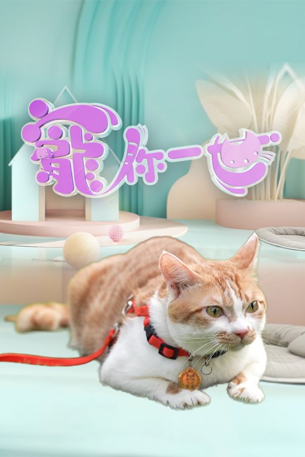 寵你一世-Paws Of Love