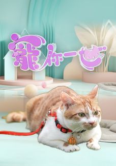 寵你一世