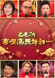 乙巳年吉星高照年初一